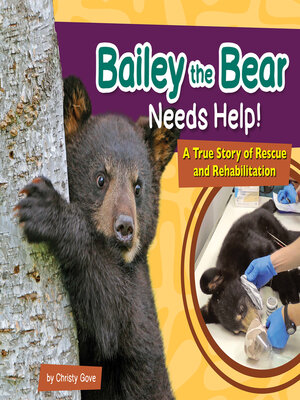 cover image of Bailey the Bear Needs Help!
